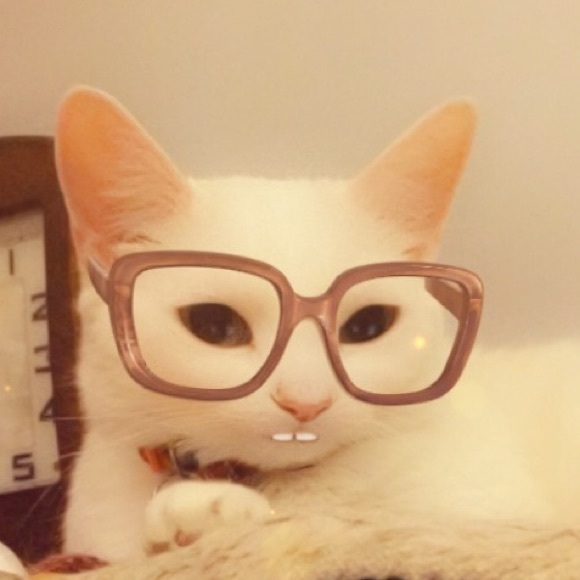 Meet your Posher, Teri - Picture 1 of 1